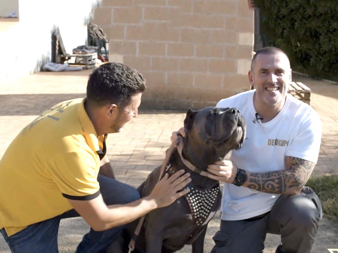 El criador de perros de los famosos, juanma morato de cane corso x-man Barcelona