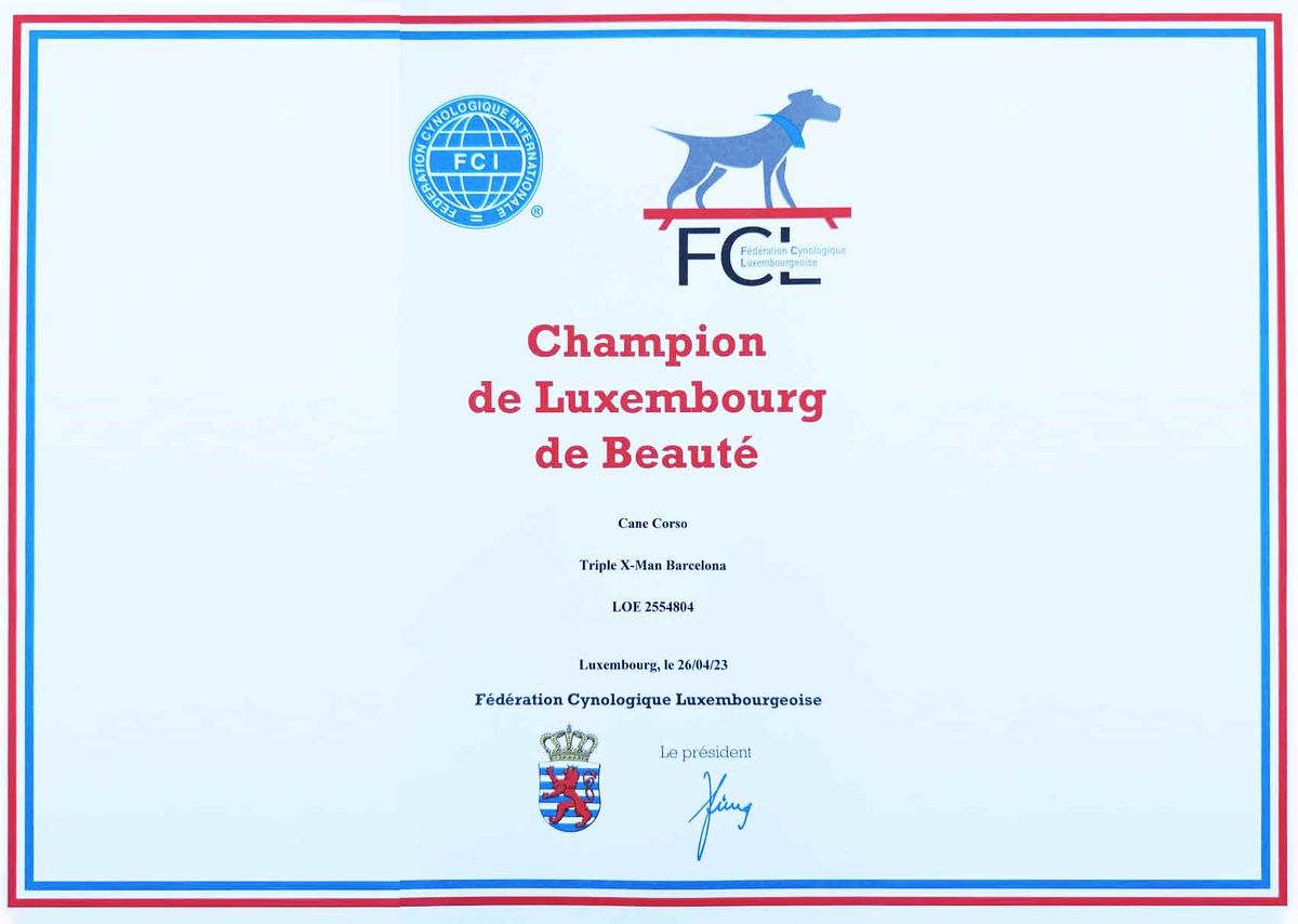 Certificado de Champion de Luxembourg de Beauté