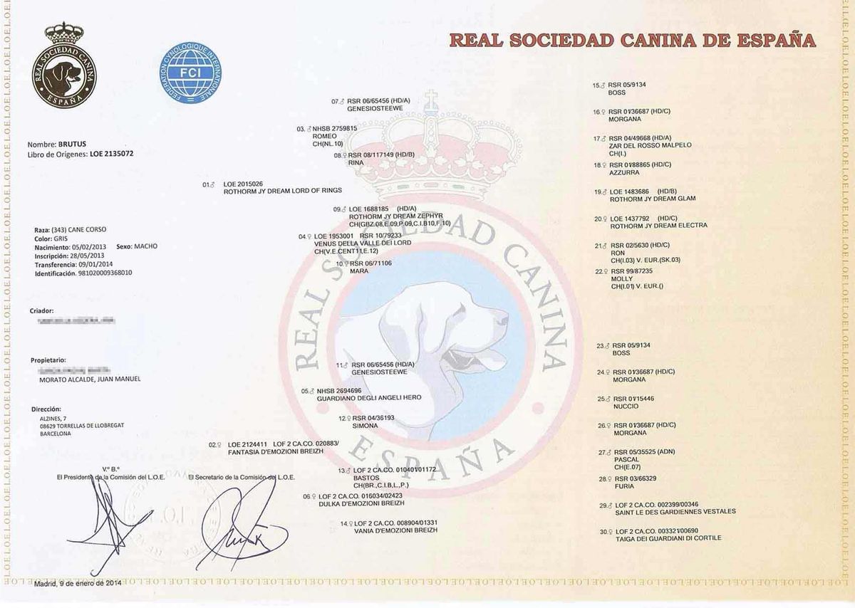 Certificado de la Real Sociedad Canina de España