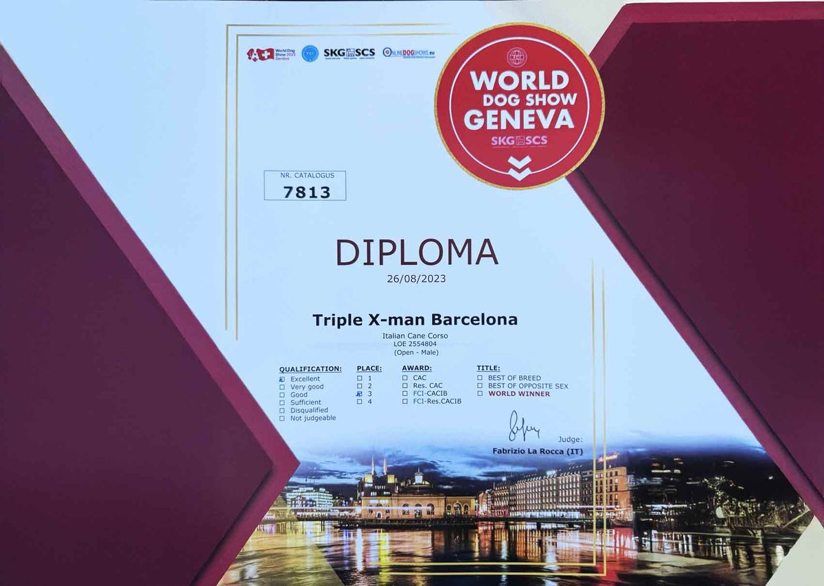 Diploma de la World Dog Show a nombre de X-Man