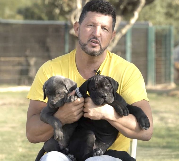 Juanma Morato con dos cachorros de Cane Corso negros en brazos